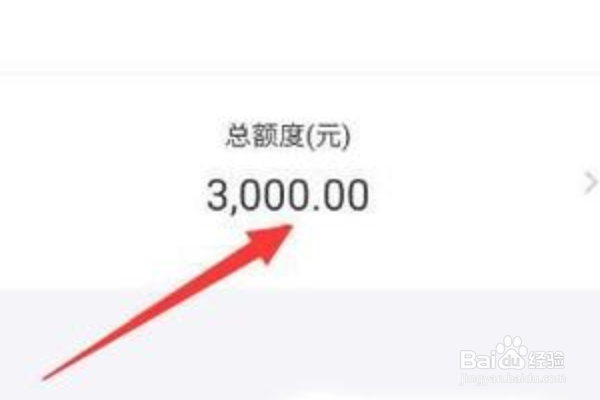 蚂蚁花呗怎么调整每月总额度