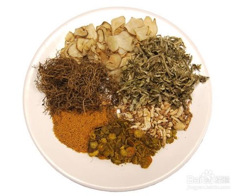 泻下药 全网资源