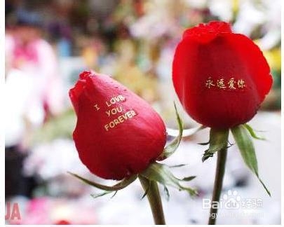 怎么才能确定恋爱关系的爱情五步曲！