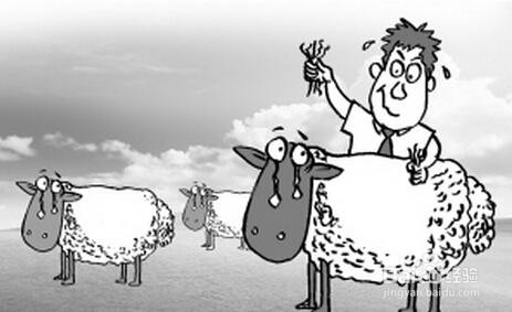 羊毛党的攻击方法和企业网络推广如何抵御攻击