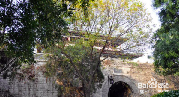 济南大明湖公园怎么游玩？