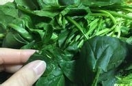 自制果仁菠菜