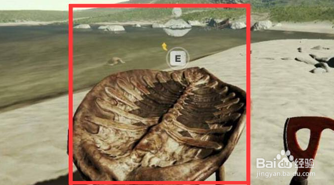 森林怎么收集水