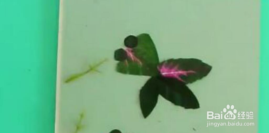 用枫叶做手工贴画