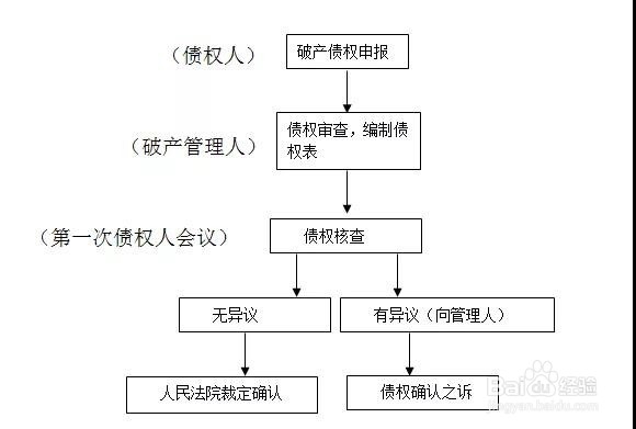 债权申报的法律程序