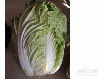 怎么腌酸菜不烂?