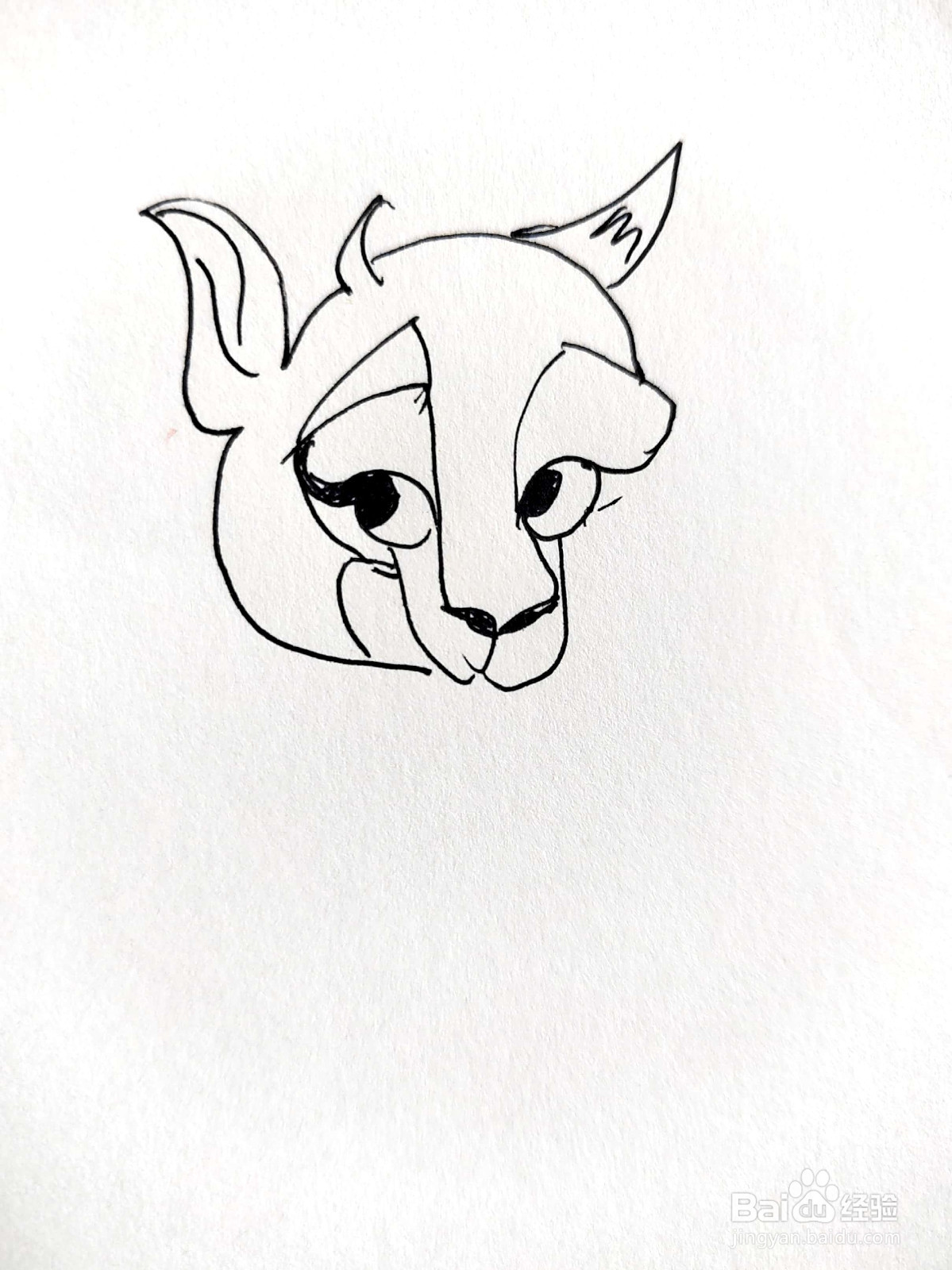 麋鹿线描画怎么画