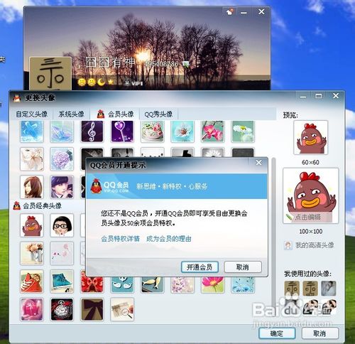 怎么使用会员经典头像？