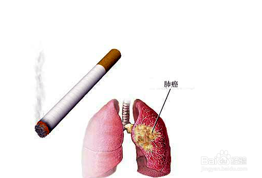了解抽烟危害,关注身体健康