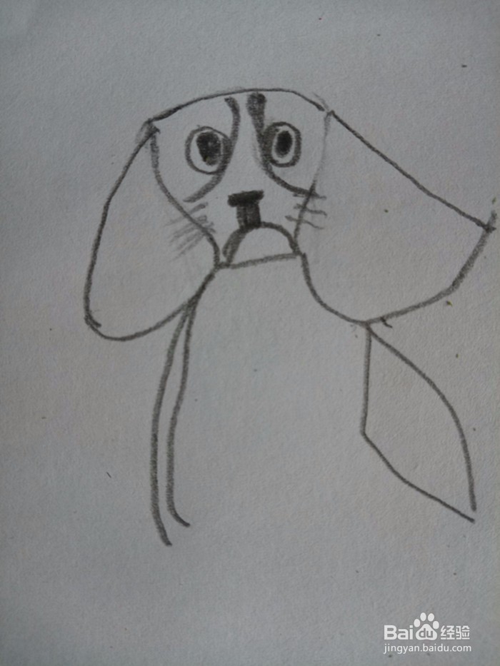 狗狗的简笔画