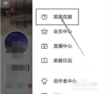 怎样查看美篇花瓣收入和支出的明细情况?