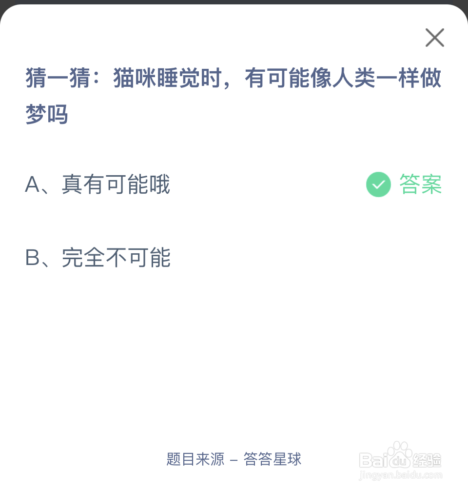 蚂蚁庄园2024.4.11：猫咪睡觉有可能会做梦吗