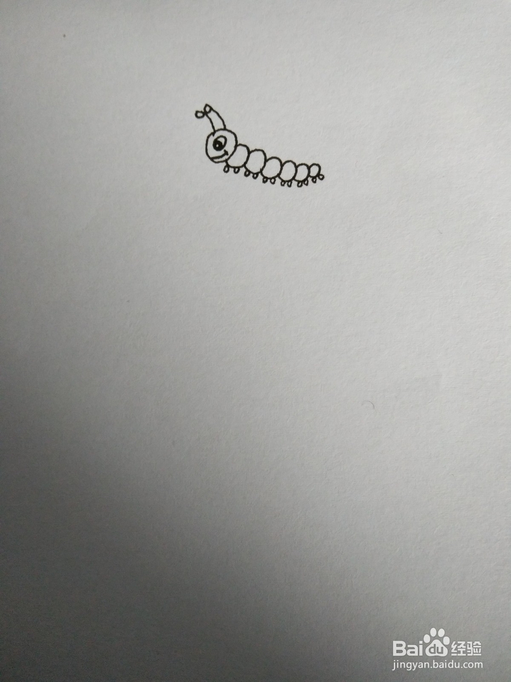 怎么用笔画毛毛虫