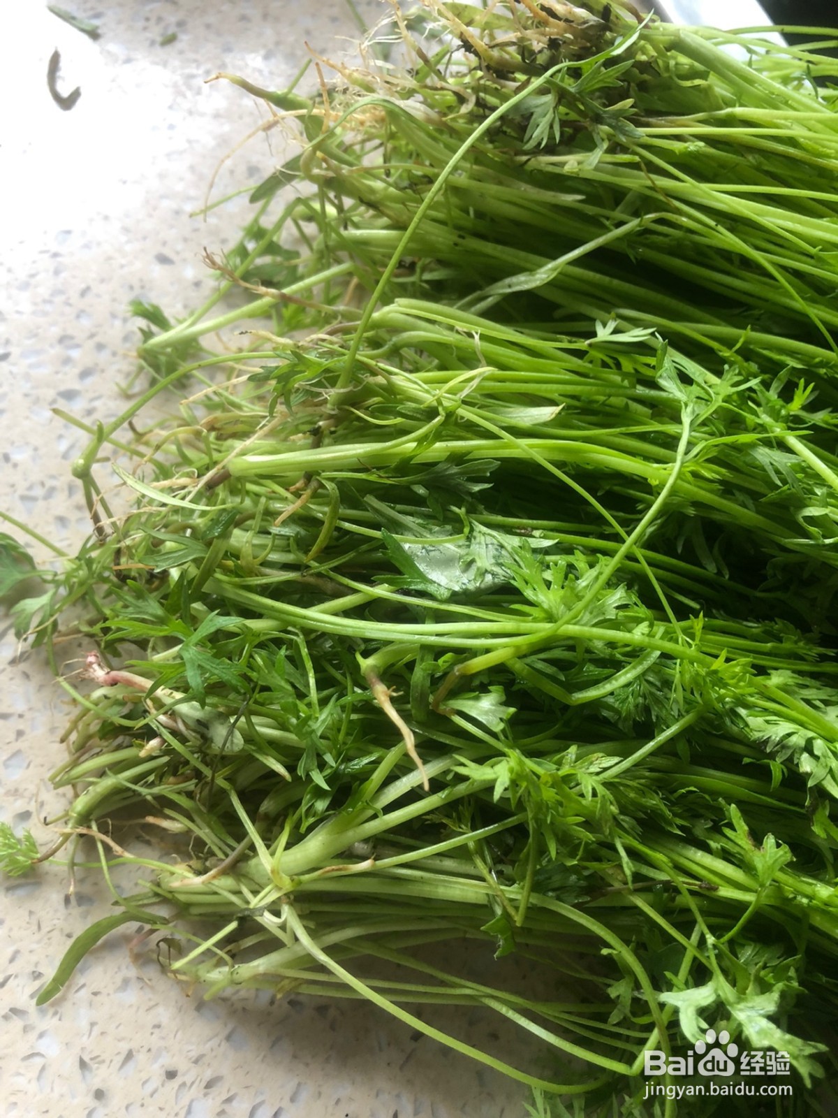 毛豆炒萝卜缨