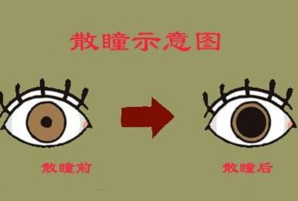 散瞳的作用