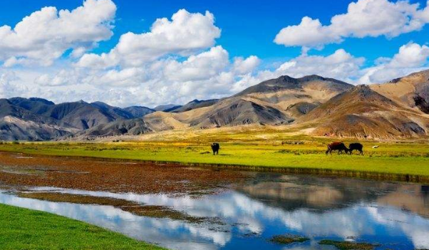 在西藏地区事业单位工作多少年后可以退休