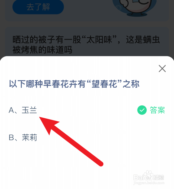 哪种早春花卉有“望春花”之称?蚂蚁庄园