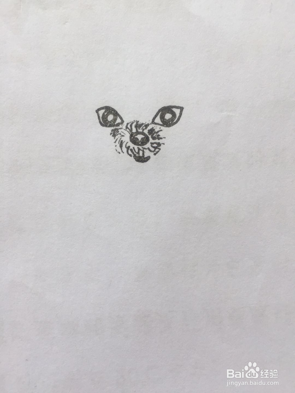 dxdll手绘之喝饮料的泰迪