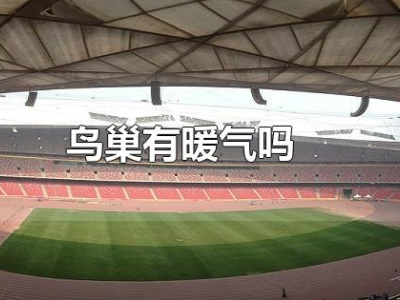 想知道鸟巢有暖气吗