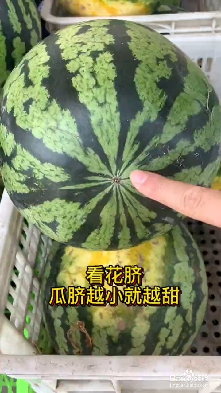 如何挑选西瓜？