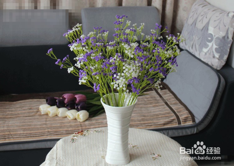 满天星干花怎么养呢？