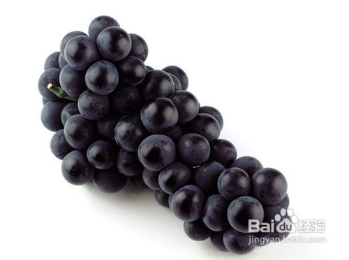 哪几种食物抗皱纹