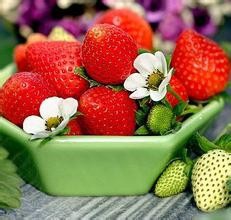 怎样约会,这9个idea更能让感情保鲜,NO看、吃