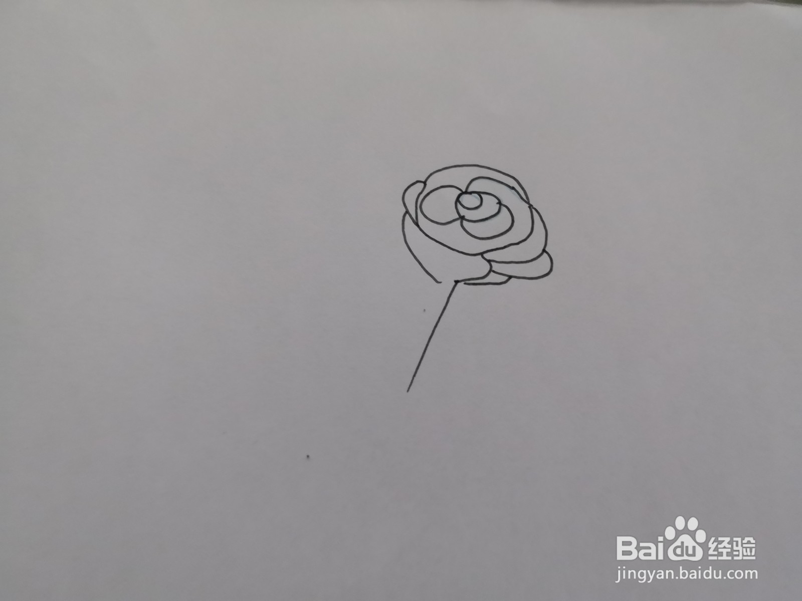 简笔画花朵图片