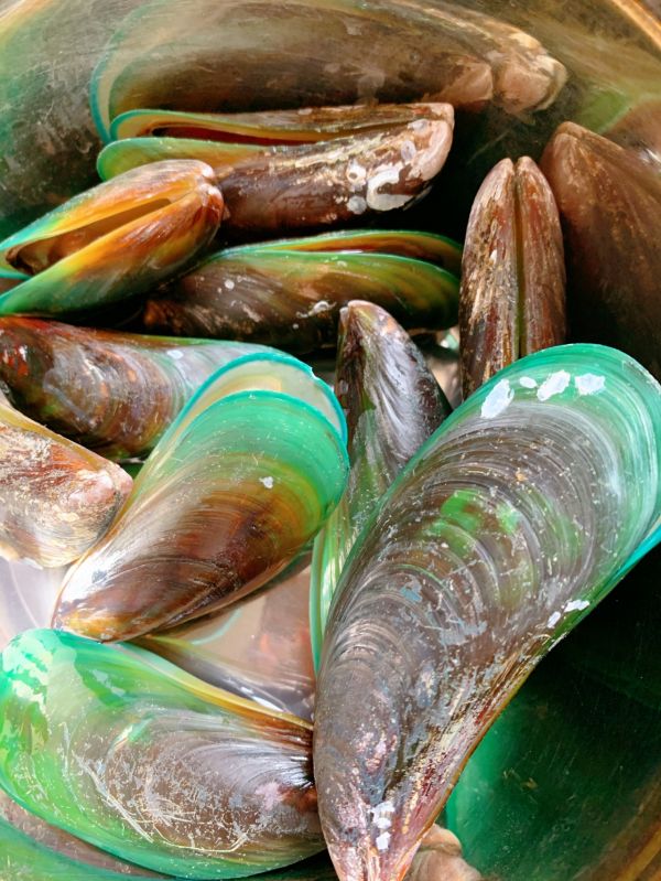 泰式椰浆辣焗贻贝