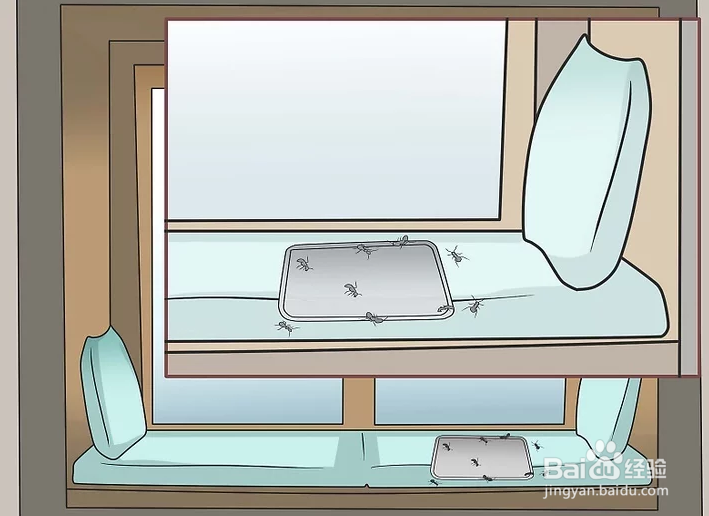 如何消灭黑蚂蚁