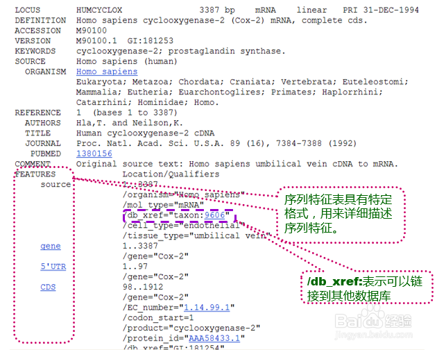 如何看懂GenBank数据库的序列文件？