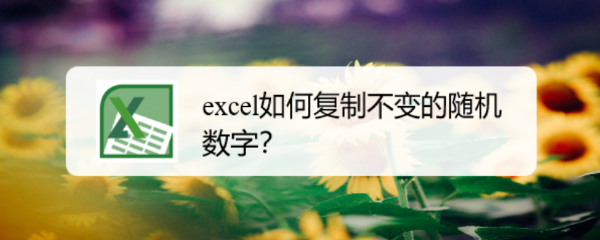 excel如何复制不变的随机数字