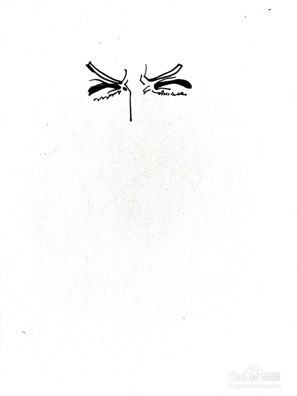 《航海王》系列之卡普简笔画