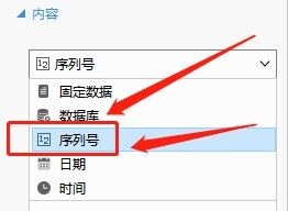 Dlabel怎么打印递增序列