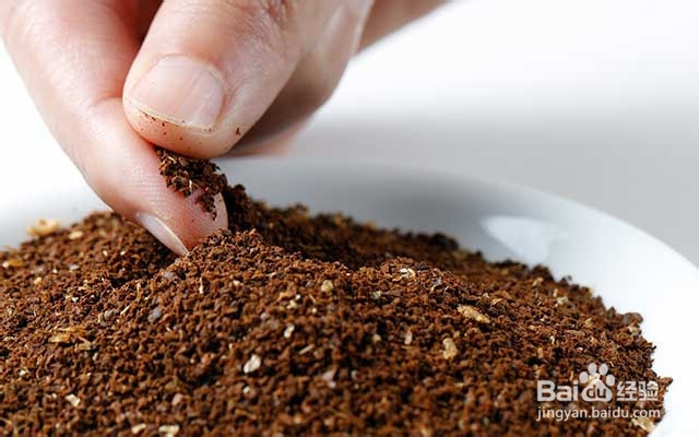 曼老江早餐咖啡(手冲V60)