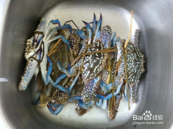 啤酒螃蟹的做法