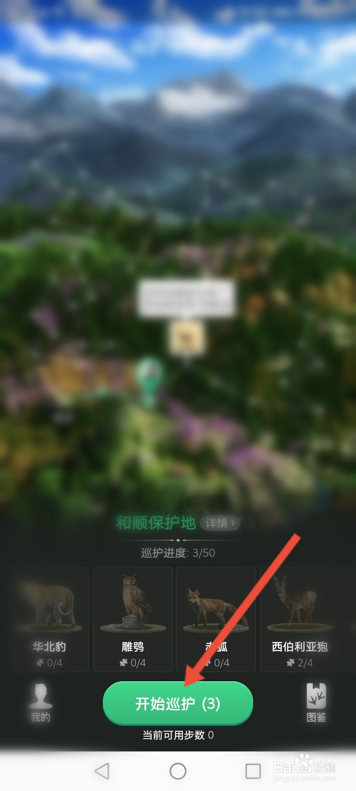 蚂蚁森林亚洲金猫怎么获得