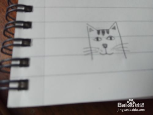 如何画猫头像