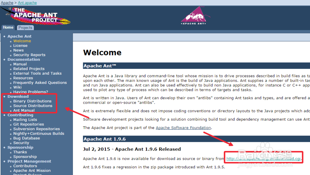 Apache Ant的配置验证