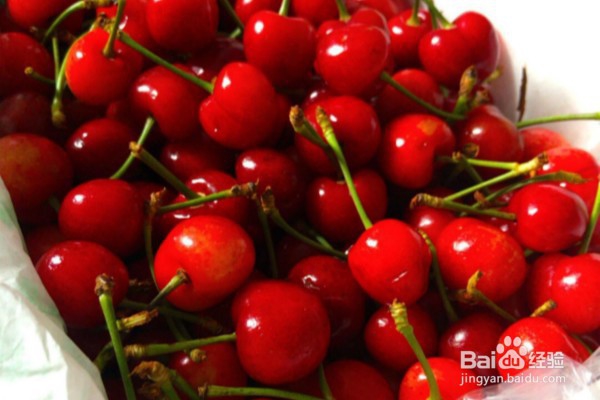 适合夏季养胃吃的12种食物