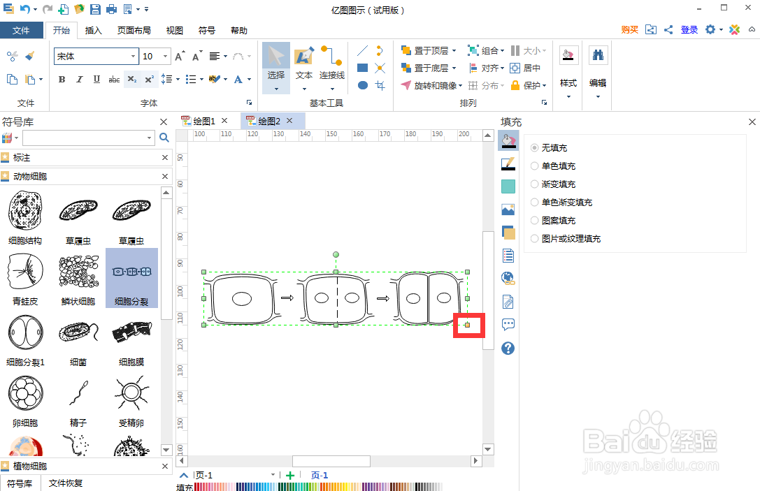 怎样在亿图图示中创建细胞分裂图