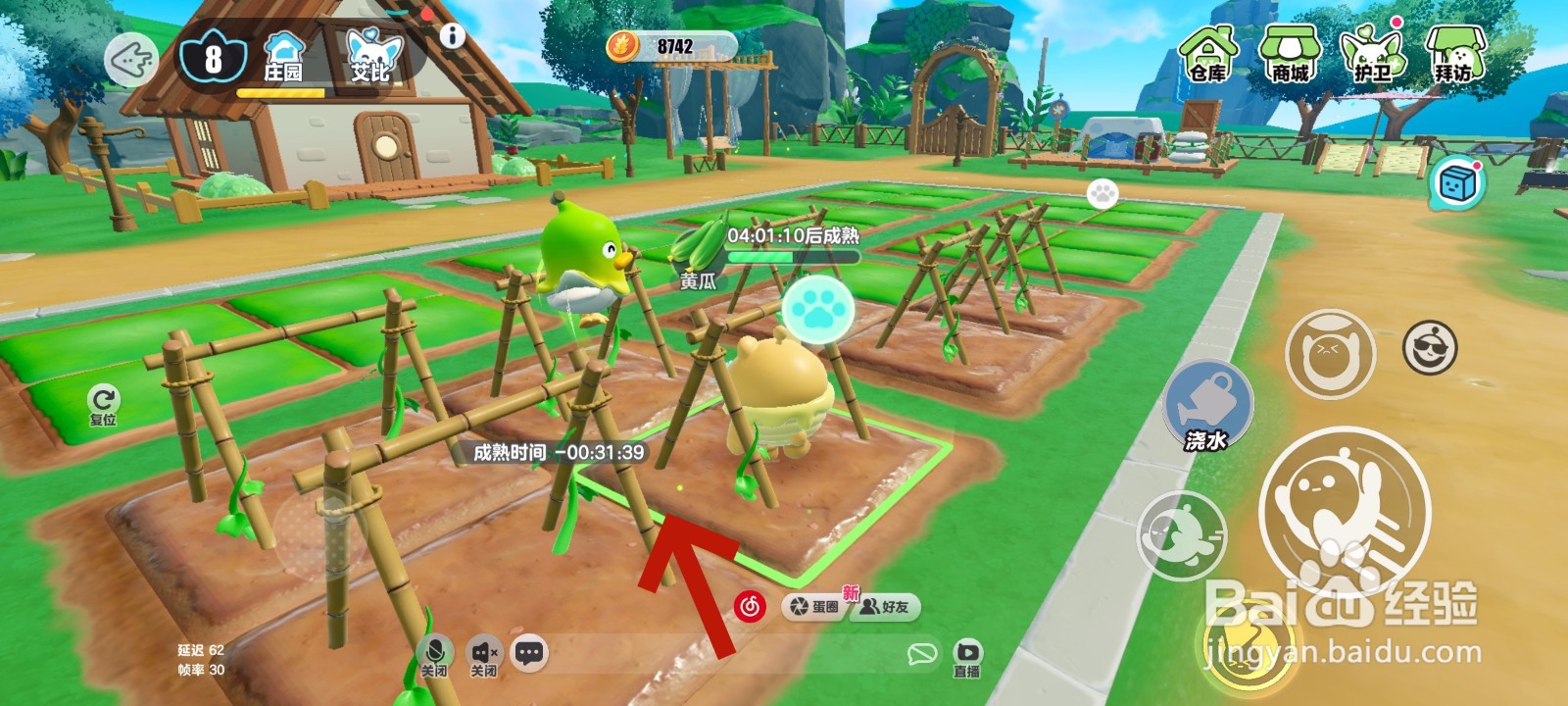 蛋仔派对游戏中给黄瓜浇水的教程