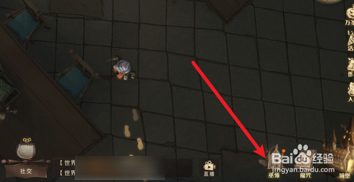 哈利波特魔法觉醒混血猫狸子神奇动物怎么获得