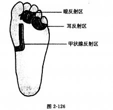 身上的三处减肥宝地