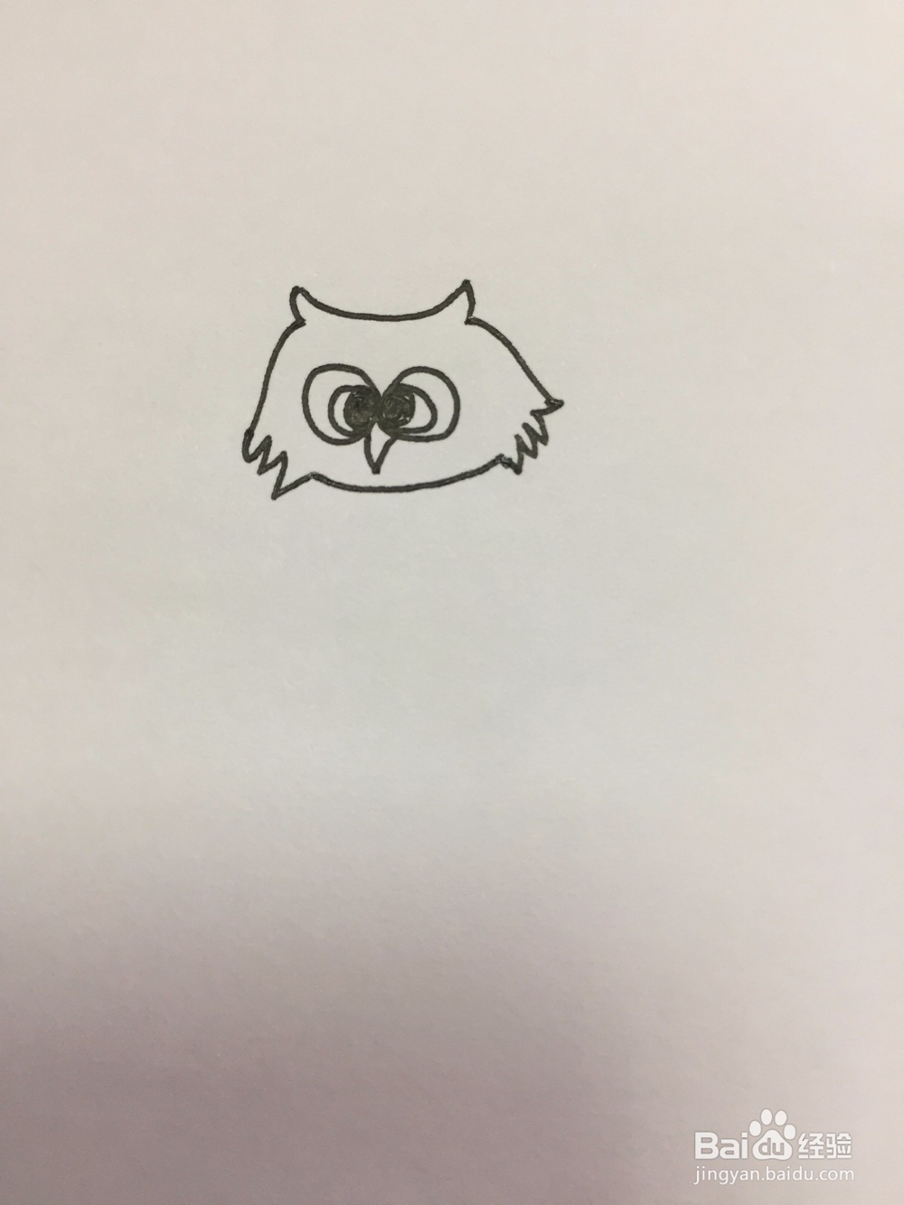 猫头鹰的简单画法