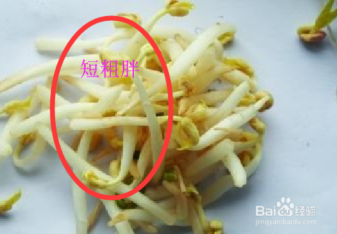 吃东西尽量避开这些食品