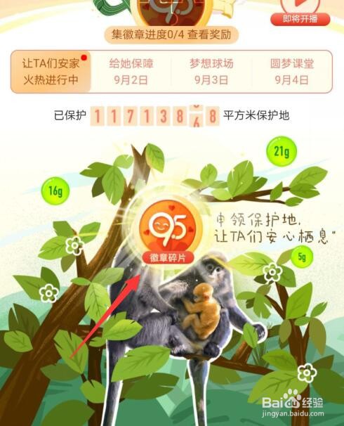 支付宝蚂蚁森林95徽章碎片怎么获得