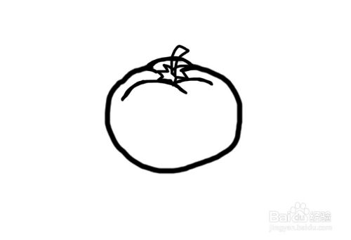 美术 如何简单画个西红柿