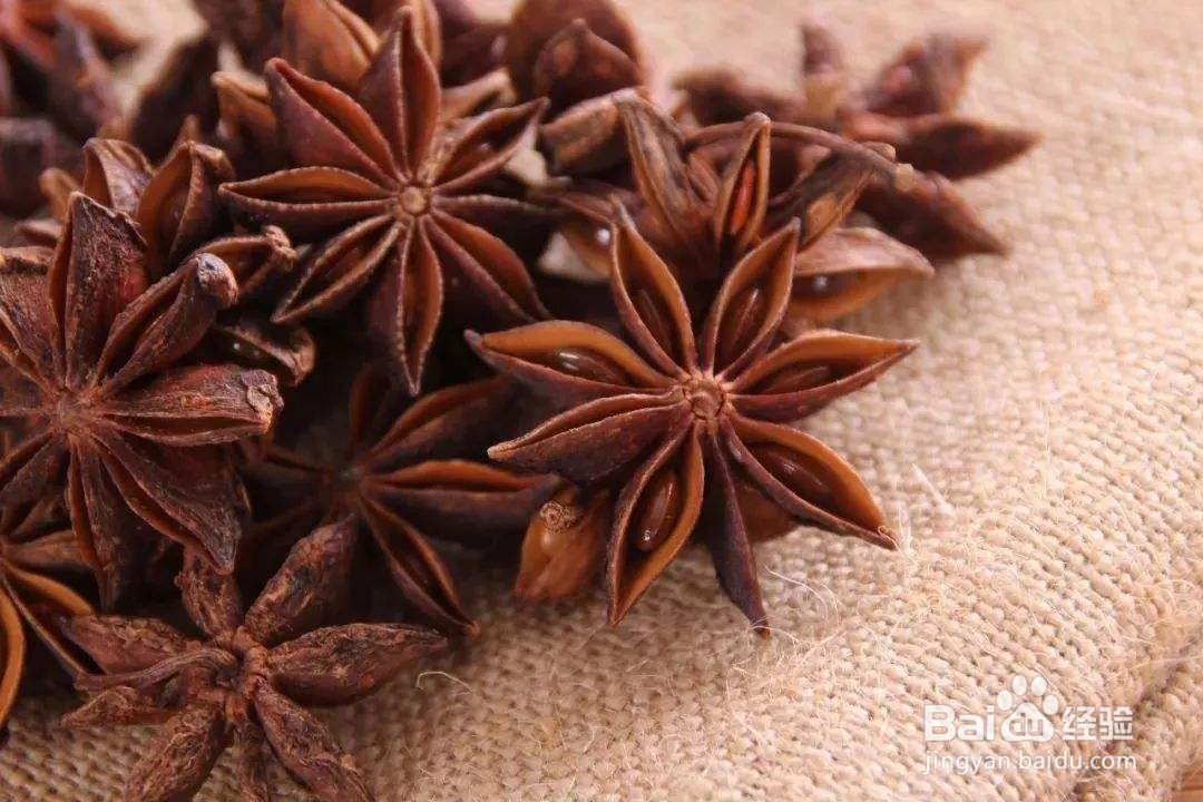 玉米放久了有虫子怎么办