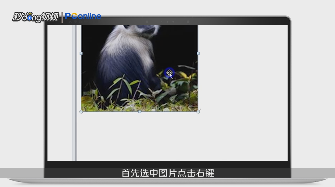 word中插入图片显示不全或不能任意移动怎么办?